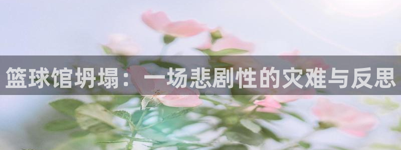 杏鑫4官网