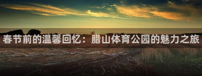 杏鑫体育凯捷代理注册