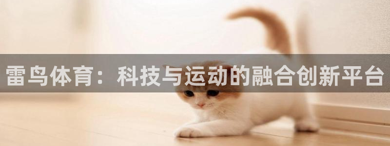 杏鑫官网