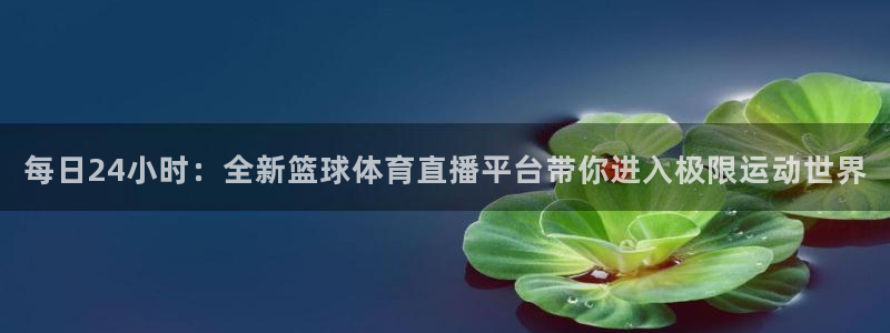 杏鑫凯捷注册