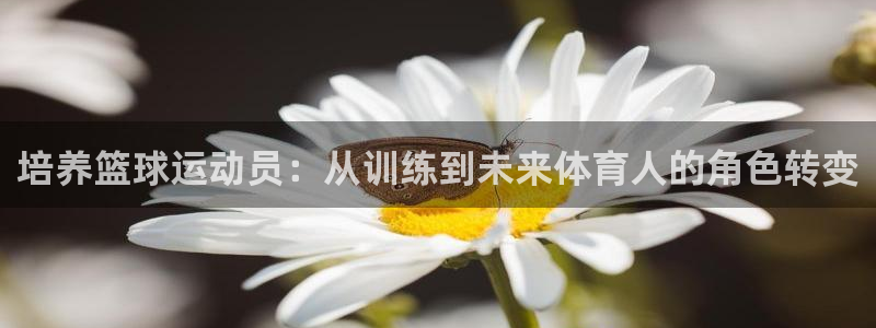 杏鑫官网注册