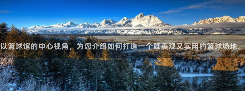 杏鑫凯捷平台