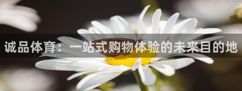 杏鑫体育f开号