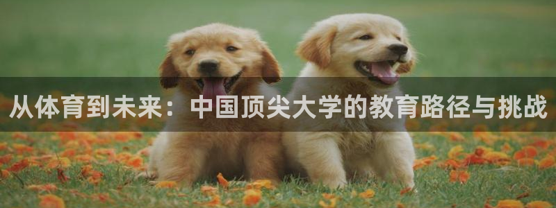 杏鑫平台开户链接