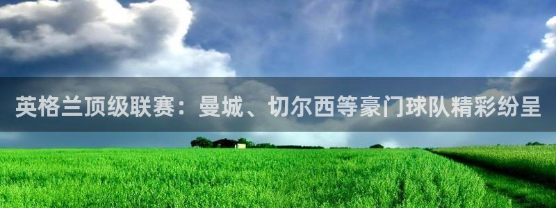 杏鑫零能源集团